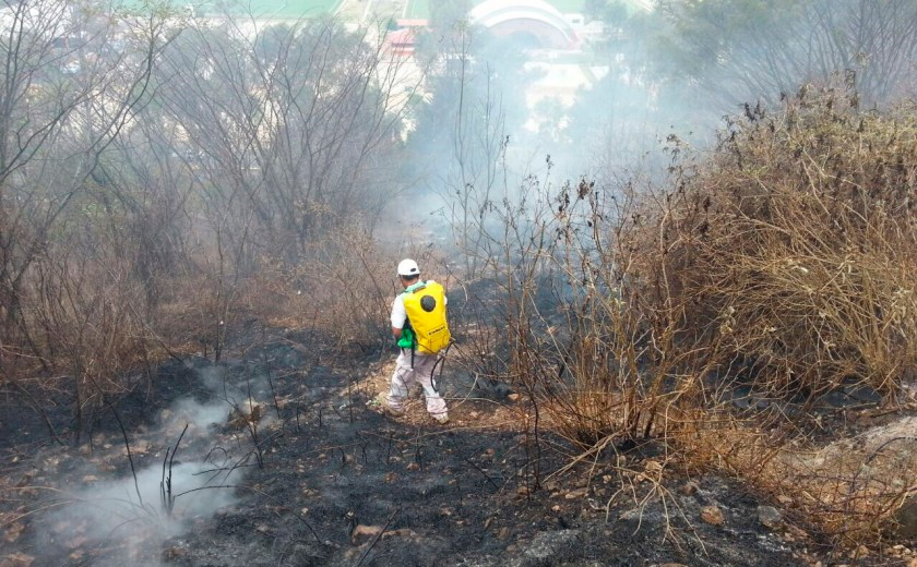 La Concordia, municipio con mayor número de hectáreas afectadas por incendios